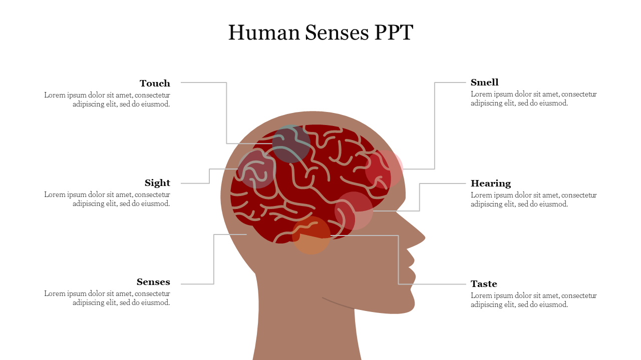 Effective Human Senses PPT PowerPoint Presentation Slide 